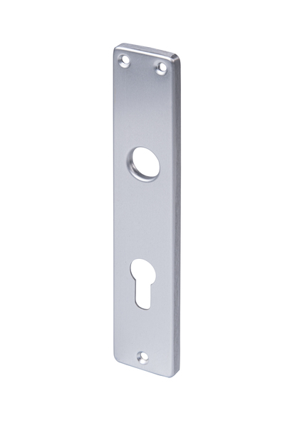 Maniglia per serrature a incastro, Materiale: alluminio, superficie: anodizzata argento, 220 mm, 40 mm, 124 mm, Descrizione articolo: una coppia, perforazione PZ