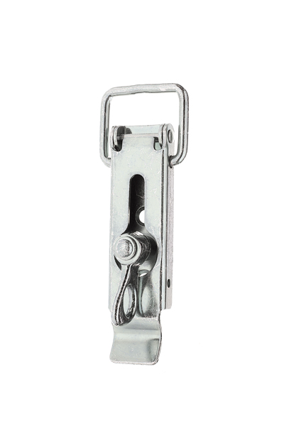 Hasp with latch with lock eye, without closing hook