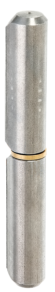 Cardine a saldare, due pezzi, Materiale: acciaio grezzo, da saldare, diametro: 20 mm, 23 mm, Perno-Ø: 12 mm, altezza: 160 mm