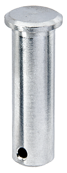 Bolzen zu Torbändern, Material: Edelstahl, Auge-Ø: 16 mm, Höhe: 57 mm, Außen-Ø: 21 mm, für Gewinde: M16