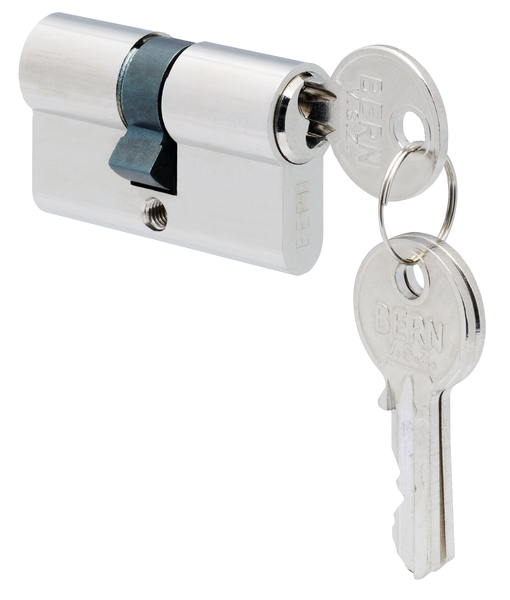 Profile cylinder with two keys