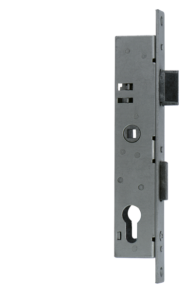 Deadbolt lock for welded mesh gates, backset 25 mm, Material: raw steel, Surface: galvanised, Width: 24 mm, Depth lock case: 38 mm, Total height: 243 mm, Height lock case: 197 mm, Distance: 72 mm, 15-year warranty against rusting through