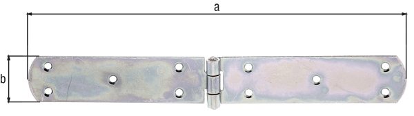 Bisagra para baúl, con pasador remachado, con agujeros para atornillar avellanados, Material: Acero crudo, Superficie: galvanizados, pasivado con capa gruesa, Longitud: 300 mm, Anchura: 40 mm, Espesura del material: 2,50 mm, Número de agujeros: 10, Perforación: Ø5,5 mm
