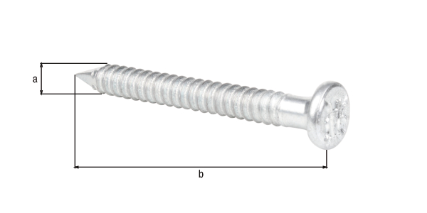 Pointes de fixation, Matériau: Acier brut, Finition: galvanisée, sous blister brochable, avec marquage CE selon DIN EN 14592, Contenu par UV: 50 Pièce, Diamètre: 4 mm, Longueur: 40 mm, Emballé SB, CutCase