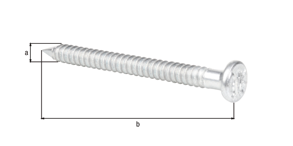 Ankernagel, Material: Stahl roh, Oberfläche: verzinkt, in Hängebox, mit Kennzeichnung nach EN 14592, Inhalt pro PE: 50 St., Durchmesser: 4 mm, Länge: 50 mm, SB-verpackt, CutCase