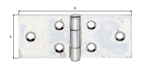 Bisagra, con pasador de inox remachado, con agujeros para atornillar avellanados, Material: Acero crudo, Superficie: acero galvanizado Sendzimir, Longitud: 25 mm, Anchura: 61,2 mm, Versión: enrollado, Espesura del material: 0,90 mm, Número de agujeros: 6, Perforación: Ø3,5 mm