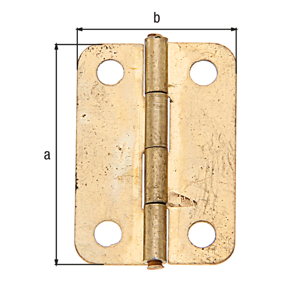 Chest hinge, with stainless steel pin, Material: raw steel, Surface: brass-plated, Contents per PU: 4 Piece, Length: 24 mm, Width: 17 mm, Material thickness: 0.50 mm, No. of holes: 4, Hole: Ø2.6 mm, Retail packaged