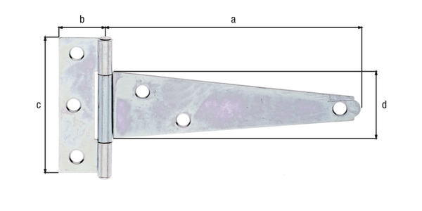 Bisagra para baúl, con pasador remachado, con agujeros para atornillar avellanados, Material: Acero crudo, Superficie: galvanizados, pasivado con capa gruesa, Longitud de la banda: 125 mm, Anchura de la bisagra: 22,5 mm, Longitud de la bisagra: 70 mm, Anchura de la banda: 33,5 mm, Versión: enrollado, Espesura del material: 1,50 mm, Número de agujeros: 6, Perforación: Ø5,5 mm
