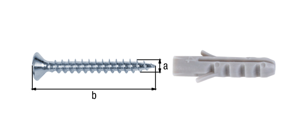 Juego de tornillos y tacos, tornillos de fijación para barras de suelo y perfiles para bordes de escalón, Material: Acero crudo, Superficie: galvanizado, Contenido por U.P.: 10 Pieza, Longitud: 25 mm, Diámetro: 3 mm, Embalado SB