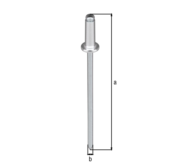 Rivetto a testa bombata larga, Materiale: alluminio, perno in acciaio zincato, Contenuto per U.I.: 50 Pz., lunghezza: 10 mm, diametro: 4 mm, Con imballo self-service