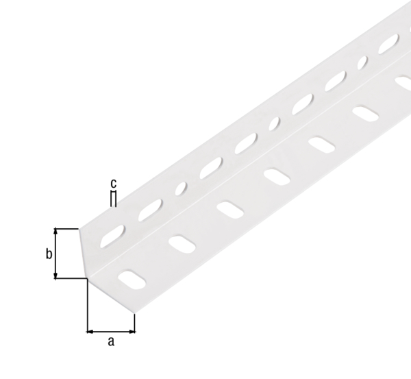 Conceptor® Winkelprofil, gelocht, Material: Stahl roh, Oberfläche: sendzimirverzinkt, weiß kunststoffbeschichtet RAL 9016, Breite: 25 mm, Höhe: 25 mm, Materialstärke: 1,2 mm, Ausführung: gleichschenklig, Länge: 2000 mm