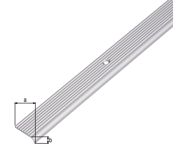 Perfiles de protección para bordes de escalón, con agujeros para atornillar avellanados, Material: Aluminio, Superficie: anodizado plateado, Anchura: 23 mm, Altura: 6 mm, Longitud: 2000 mm, Espesura del material: 2,00 mm