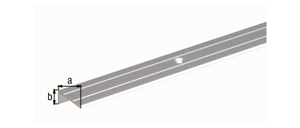 Treppenkanten-Schutzprofil, mit versenkten Schraublöchern, Material: Aluminium, Oberfläche: silberfarbig eloxiert, Breite: 25 mm, Höhe: 10 mm, Länge: 1000 mm, Materialstärke: 1,50 mm