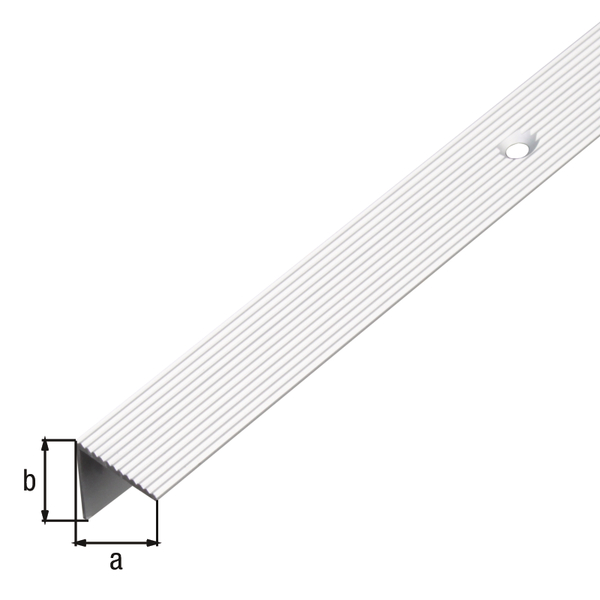 Nez de marche antidérapant, avec trous de vis fraisés, finement strié, Matériau: Aluminium, Finition: couleur argent, anodisée, Largeur: 20 mm, Hauteur: 20 mm, Longueur: 1000 mm, Épaisseur: 1,80 mm