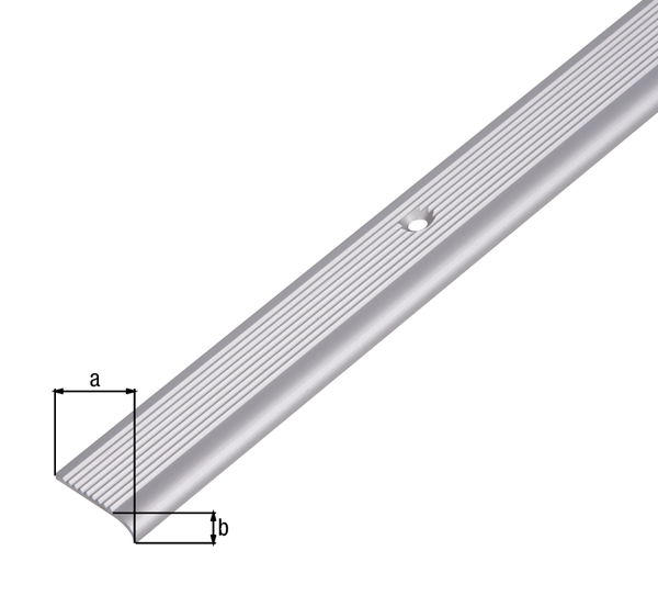 Stair nosing, with countersunk screw holes, Material: Aluminium, Surface: silver anodised, Width: 23 mm, Height: 5 mm, Length: 1000 mm, Material thickness: 1.80 mm