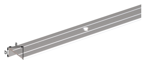 Treppenkanten-Schutzprofil, mit versenkten Schraublöchern, Material: Aluminium, Oberfläche: silberfarbig eloxiert, Breite: 25 mm, Höhe: 10 mm, Länge: 2000 mm, Materialstärke: 1,50 mm