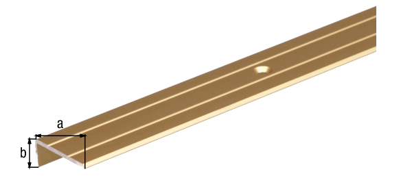 Stair nosing, with countersunk screw holes, Material: Aluminium, Surface: gold anodised, Width: 25 mm, Height: 10 mm, Length: 2000 mm, Material thickness: 1.50 mm