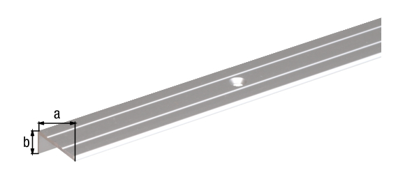 Treppenkanten-Schutzprofil, mit versenkten Schraublöchern, Material: Aluminium, Oberfläche: silberfarbig eloxiert, Breite: 25 mm, Höhe: 20 mm, Länge: 2000 mm, Materialstärke: 1,50 mm