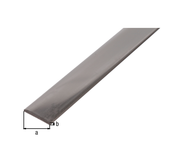 Profilé plat, Matériau: Acier inoxydable, Largeur: 25 mm, Épaisseur du matériau: 2 mm, Longueur: 1000 mm