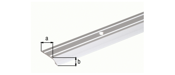 Profilo di livellamento, forato, con fori per viti incassate, Materiale: alluminio, superficie: anodizzata argento, larghezza: 30 mm, altezza: 4 mm, Lunghezza: 900 mm, Spessore del materiale: 2,00 mm, Con imballo self-service