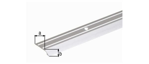 Profil wyrównawczy, nawiercony, z wpuszczonymi otworami na śruby, materiał: aluminium, powierzchnia: anodowana srebrna, Szerokość: 39 mm, Wysokość: 8 mm, Długość: 900 mm, Grubość materiału: 2,00 mm, Opakowanie do sklepów samoobsługowych