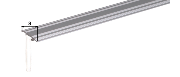 Coprisoglia per montaggio a scomparsa, Materiale: alluminio, superficie: anodizzata argento, larghezza: 32 mm, Lunghezza: 900 mm, Spessore del materiale: 1,50 mm, Con imballo self-service